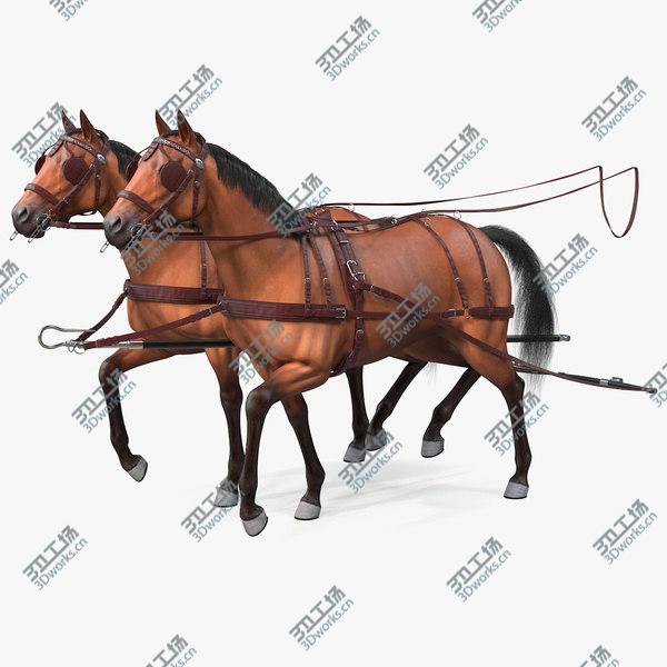 images/goods_img/20210312/Pair of Breast Collar Harness Walking Pose Fur 3D model/1.jpg